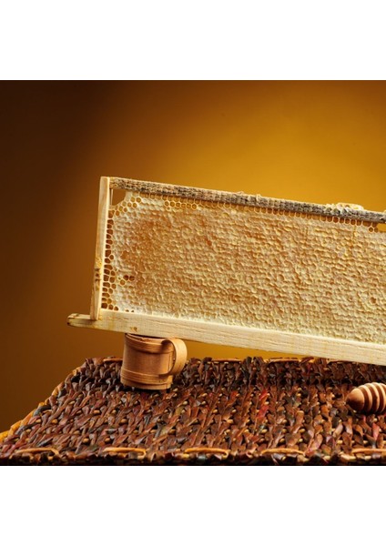 Petek Bal (3.25 Kg)