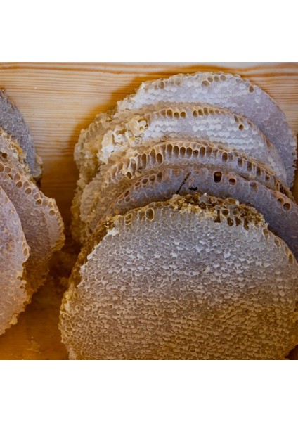 Sepet Balı - Karakovan Petek (1.7 Kg)
