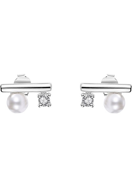 S925 Gümüş Küpe, Denge Ahşap Şekli Küpe (Yurt Dışından)