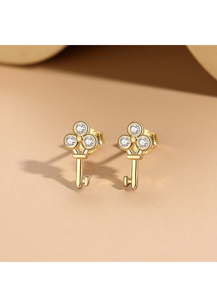 Mini Küçük Anahtar Küpeler, Sade S925 Gümüş Küpeler (Yurt Dışından) fiyatları