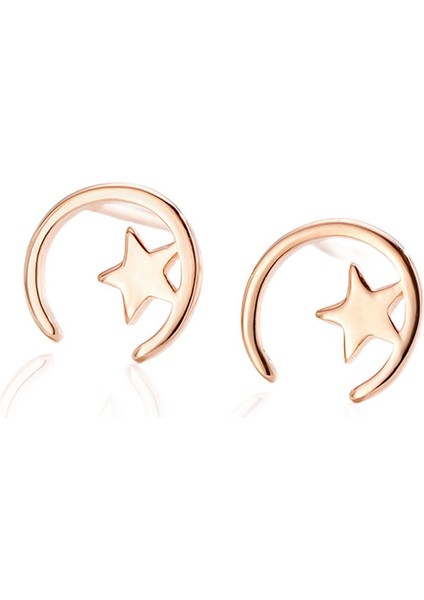 925 Gümüş Yıldız Ay Küpe, Minimalist Niş Tasarım Mizaç Küpe (Yurt Dışından)