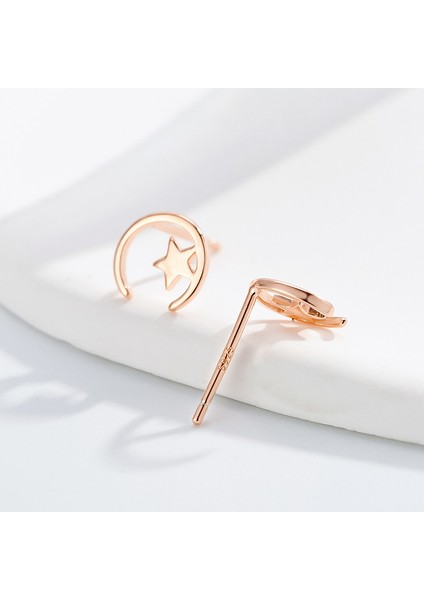 925 Gümüş Yıldız Ay Küpe, Minimalist Niş Tasarım Mizaç Küpe (Yurt Dışından) fiyatları