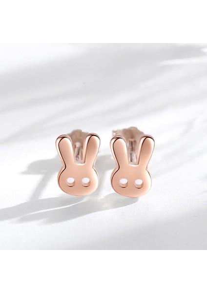 Sevimli Karikatür Tavşan Küpeler, Şık ve Çok Yönlü (Yurt Dışından) fiyatları