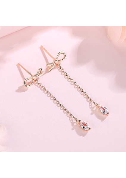 S925 Ayar Gümüş Fiyonk Küpe, Moda Bayan Küpe (Yurt Dışından) fiyatları