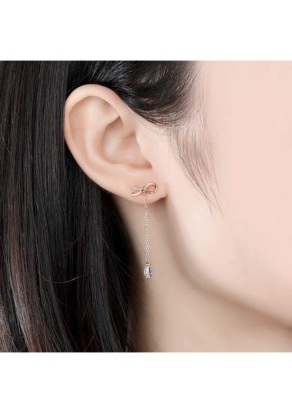 S925 Ayar Gümüş Fiyonk Küpe, Moda Bayan Küpe (Yurt Dışından) modelleri