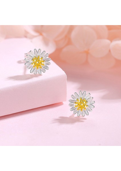 Küçük Papatya Gümüş Küpeler, Sade ve Çok Yönlü (Yurt Dışından)