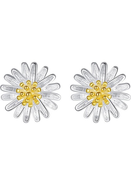 Küçük Papatya Gümüş Küpeler, Sade ve Çok Yönlü (Yurt Dışından) fiyatları