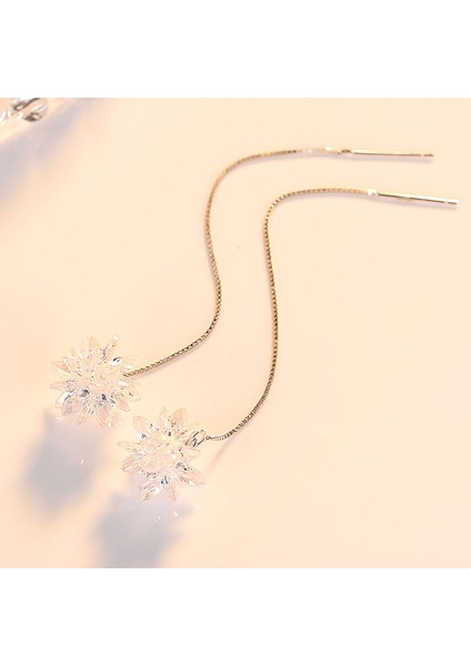 S925 Ayar Gümüş Uzun Kolye Ucu, Püsküllü Gümüş Küpe (Yurt Dışından) fiyatları