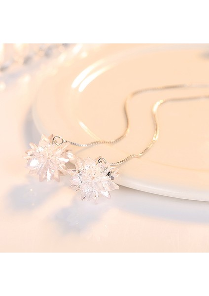 S925 Ayar Gümüş Uzun Kolye Ucu, Püsküllü Gümüş Küpe (Yurt Dışından) modelleri