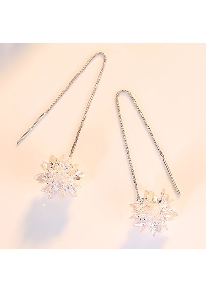 S925 Ayar Gümüş Uzun Kolye Ucu, Püsküllü Gümüş Küpe (Yurt Dışından) fırsatları