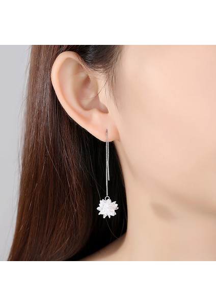 S925 Ayar Gümüş Uzun Kolye Ucu, Püsküllü Gümüş Küpe (Yurt Dışından) indirimleri