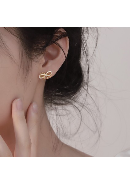 925 Ayar Gümüş Fiyonk Küpeler, Nazik ve Çok Yönlü Küpeler (Yurt Dışından) modelleri