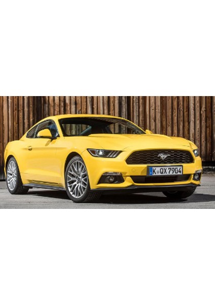 Mustang 6 2015-2019 Araç Içi Silikon Kaymaz Ped Kaplama Seti