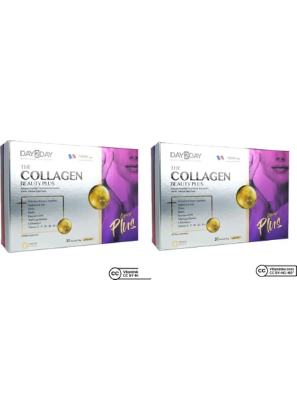 DAY2DAY The Collagen Beauty 30 Tüp x 40 ml  2'li