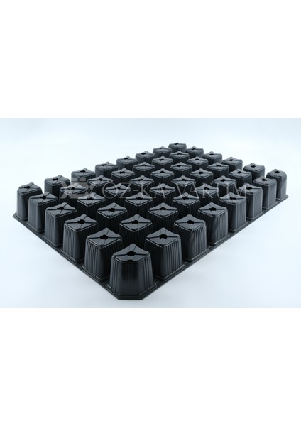 48 Göz Kare Fidelik Fide Viyolü Fide Kabı (50 Adet) fiyatları
