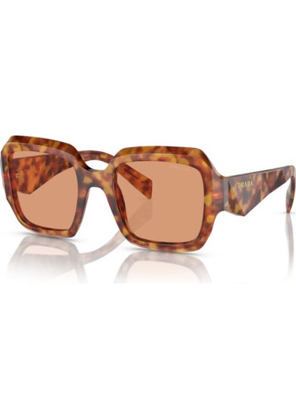 PR28ZS 10L07V 53 Asetat Kadın Güneş Gözlüğü