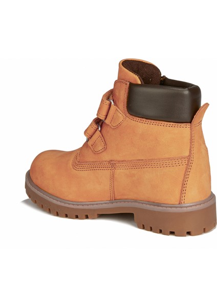 915.F19K.351 Vicco Napa modelleri