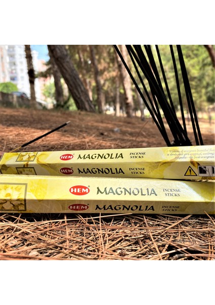 Manolya (Mangolia) Çubuk Tütsü