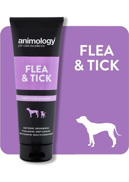 Flea & Tick