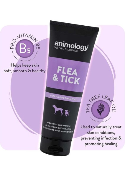 Flea & Tick