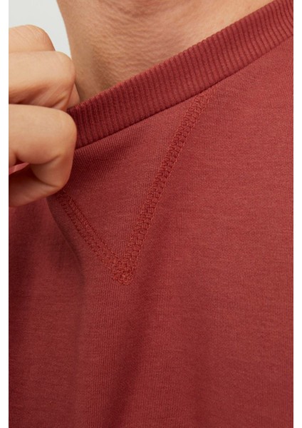 Jack & Jones Jjebasıc Sweat Crew Neck Pembe Erkek Sweatshirt