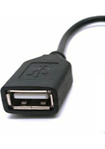 Araç Dönüştürücü Adaptör Kablosu USB 2.0 Outback 2012-2013 Için (Yurt Dışından) indirimleri
