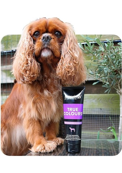 Animology True Color Köpek Şampuanı 250 Ml fiyatları