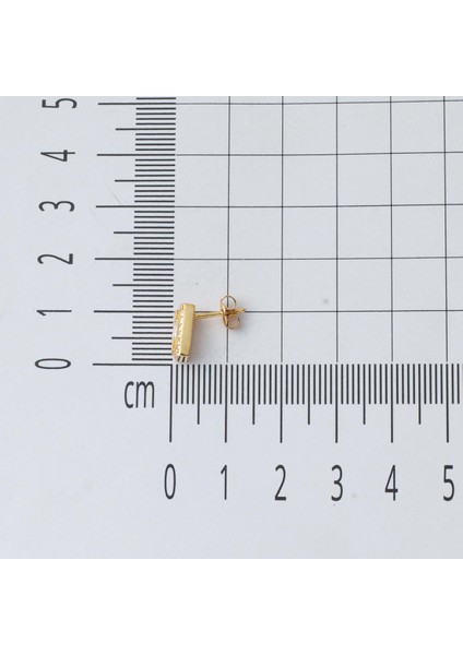 Minimal Tasarım 14 Ayar Baget Altın Küpe
