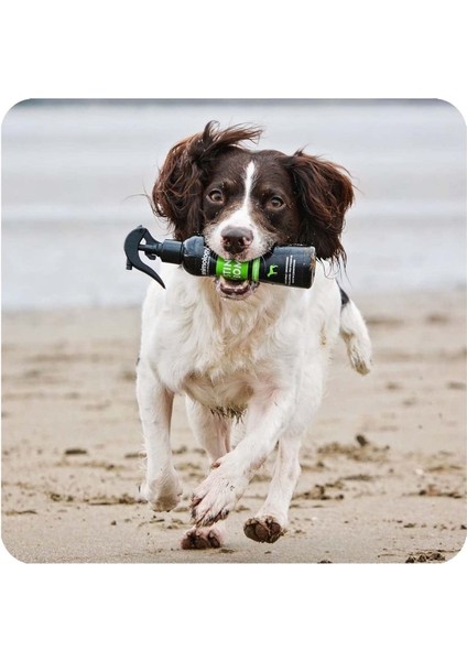 Stink Bomb Köpekler İçin Kuru Şampuan