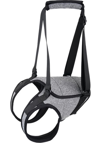 Köpek Ifting Demetiı Evcil Ift Örneğin Alabilen L (Yurt Dışından)