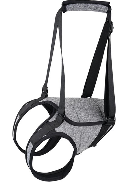 Köpek Ifting Demetiı Evcil Ift Örneğin Alabilen L (Yurt Dışından) fiyatları