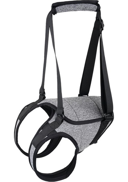 Köpek Ifting Demetiı Evcil Ift Örneğin Alabilen L (Yurt Dışından) modelleri