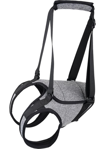 Köpek Ifting Demetiı Evcil Ift Örneğin Alabilen L (Yurt Dışından) fırsatları