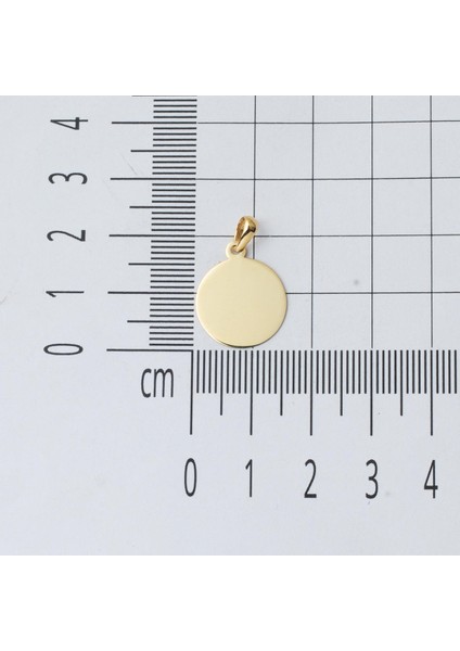 1.5 cm Çaplı 14 Ayar Altın Plaka Kolye