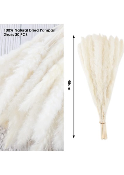 Kurutulmuş Pampas Otu Süsü 30'lu Set, Doğal Kurutulmuş Çiçekler 45 cm Beyaz (Yurt Dışından) modelleri