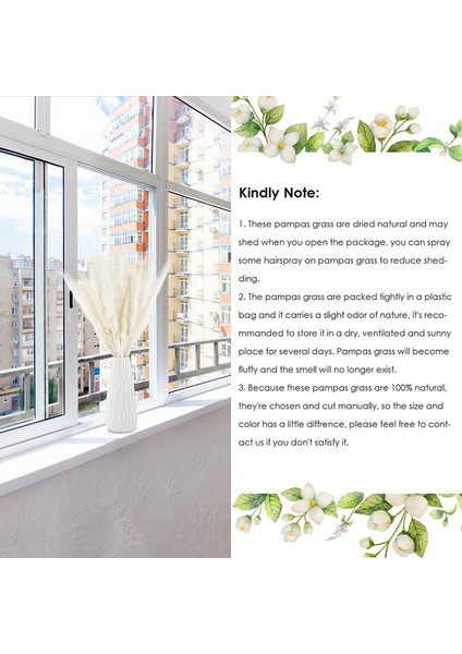 Kurutulmuş Pampas Otu Süsü 30'lu Set, Doğal Kurutulmuş Çiçekler 45 cm Beyaz (Yurt Dışından) indirimleri