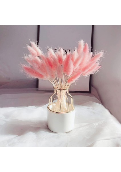 30 Adet Doğal Kurutulmuş Tavşan Çiçeği Kuyruğu Yapay Bitki Buketi Kurutulmuş Pembe (Yurt Dışından)