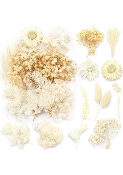 Doğal Kurutulmuş Çiçek Seti Beyaz (Yurt Dışından)