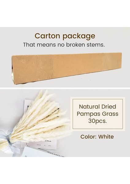 30 Adet Doğal Pampas Çimi, Beyaz (Yurt Dışından) fiyatları