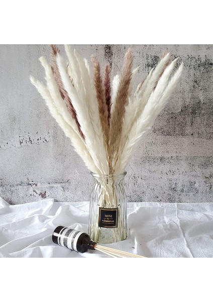 30 Adet Doğal Pampas Çimi, Beyaz (Yurt Dışından) fırsatları