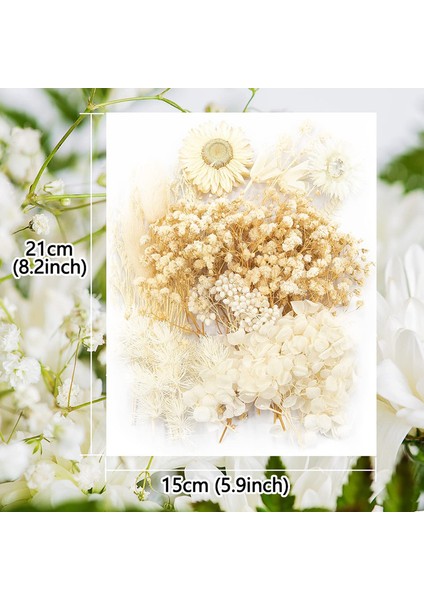 Doğal Kurutulmuş Çiçek Seti Beyaz (Yurt Dışından) fiyatları