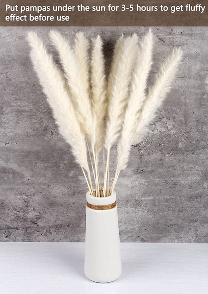 15X Kurutulmuş Pampas Otu Kurutulmuş Çiçek Buketleri, Beyaz (Yurt Dışından) fiyatları