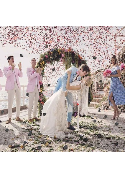 1000 Adet Yapay Gül Yaprakları Siyah (Yurt Dışından) indirimleri