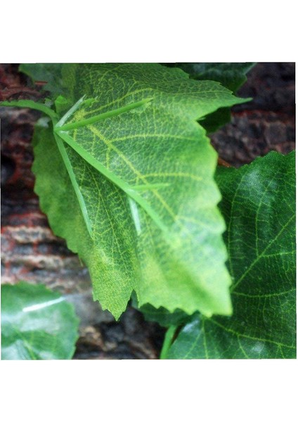 Yapay Üzüm Yaprakları Rattan Kamışı Simülasyon Yaprakları Çelenk Bitkileri (Yurt Dışından) modelleri