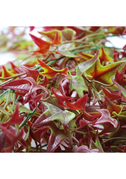 2 Adet Yapay Simüle Asma Yaprakları Akçaağaç Yaprakları, 27.8in (Yurt Dışından) modelleri