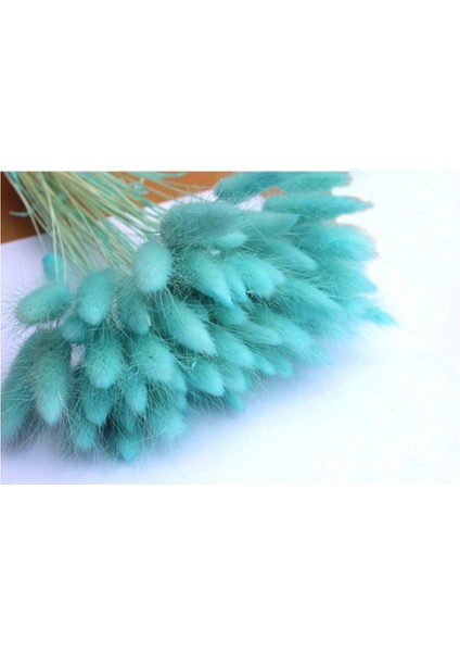 Tavşan Kuyruğu Şeklinde 50 Adet Kuru Çiçekten Oluşan Paket Mavi (Yurt Dışından)