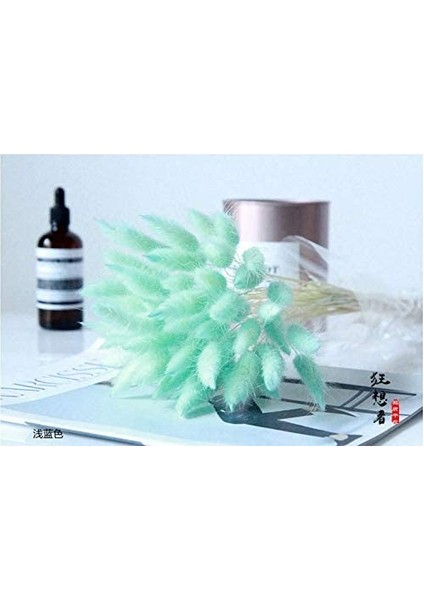 Tavşan Kuyruğu Şeklinde 50 Adet Kuru Çiçekten Oluşan Paket Mavi (Yurt Dışından) fiyatları