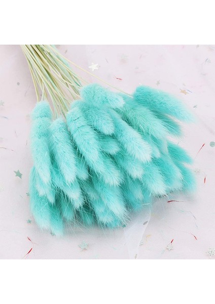 Tavşan Kuyruğu Şeklinde 50 Adet Kuru Çiçekten Oluşan Paket Mavi (Yurt Dışından) modelleri