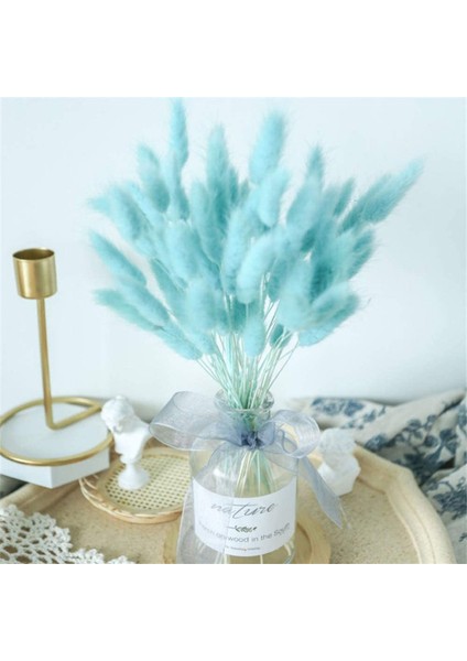Tavşan Kuyruğu Şeklinde 50 Adet Kuru Çiçekten Oluşan Paket Mavi (Yurt Dışından) fırsatları