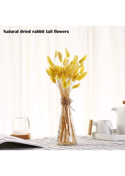 30 Adet Tavşan Kuyruğu Çimi Doğal Kurutulmuş Çiçekler Sarı (Yurt Dışından) fiyatları